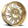 5 LUG FS17 GOLD